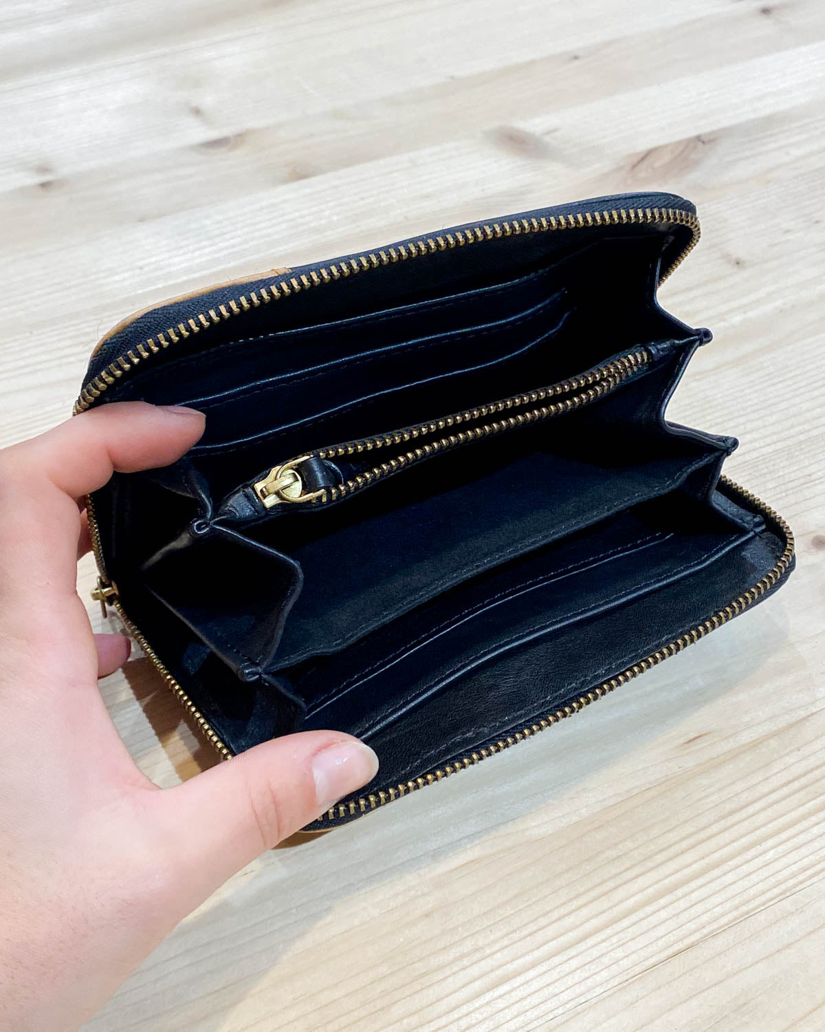 Portafoglio a Fisarmonica