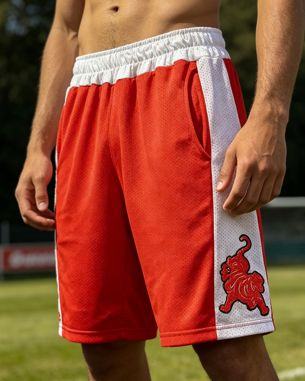 Bermuda Sportivi Con Ricamo - M