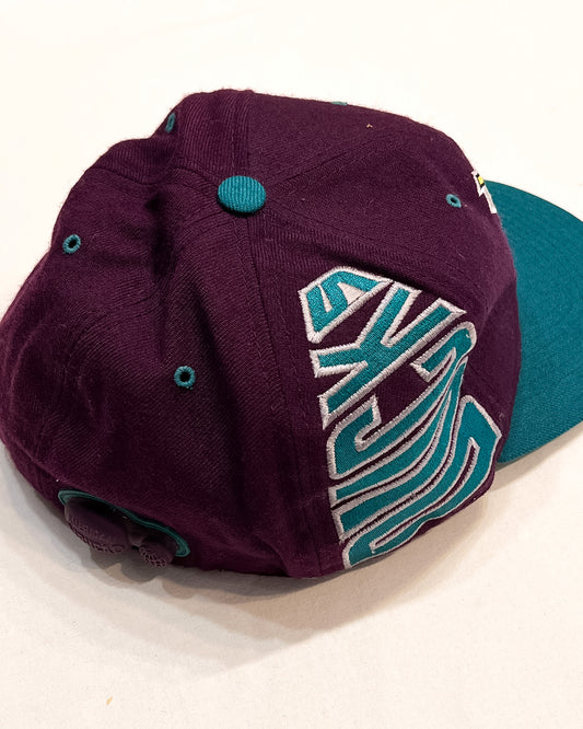 Rare Vintage Anaheim Mighty Ducks Disney NHL  L